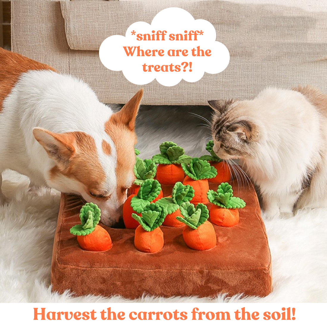 Carrot Land™ Hide & Seek Toy