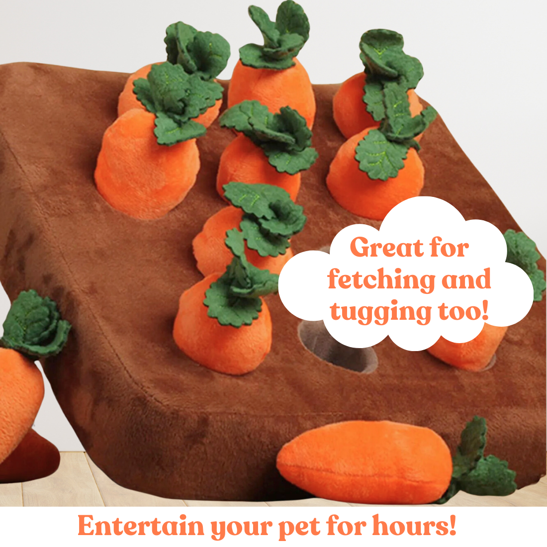 Carrot Land™ Hide & Seek Toy